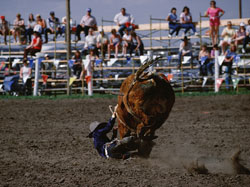 Calgary Stampede