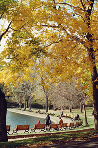 Lafontaine Park